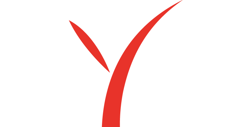 DYN Automotive Limited
